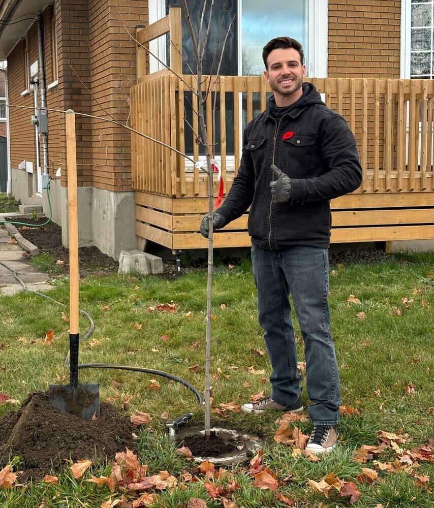 Plantation d'un jeune arbre devant une maison